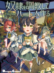 Dorei Wo Choukyoushite Harem Tsukuru