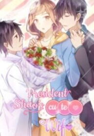 President Shao’s Cute Wife – Image 1