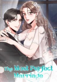The Most Perfect Marriage – Image 1