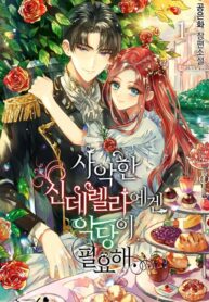 An-Evil-Cinderella-Needs-a-Villain-Novel