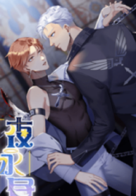 Eternal Daytime in the Night – Image 1