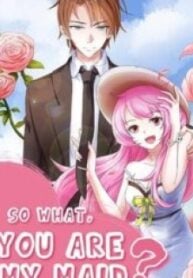 So What, You Are My Maid? – Image 1