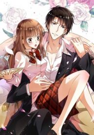 thumb_5ee03f356e444