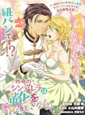 Sakkon-no-Cinderella-wa-Kutsu-wo-Otosanai