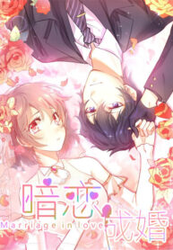 Secret-Love-And-Secret-Marriage
