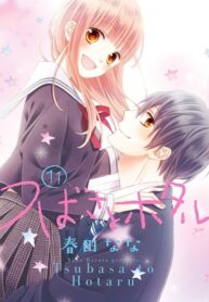 Tsubasa-to-Hotaru