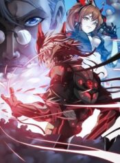 Veiled-Armor-Awakening