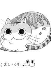 Zutto Neko Shyashinjya – Image 1