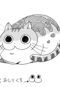 Zutto-Neko-Shyashinjya