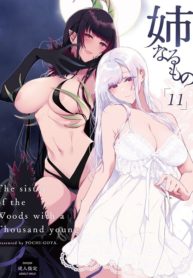 Ane Naru Mono (Pochi-Goya.) – Image 1