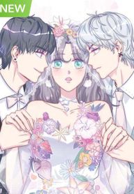 My Fiance Candidates – Image 1