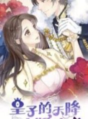 The Prince’s Heavenly Fiancée – Image 1