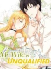 My Wife is Unqualified – Image 1