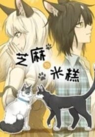 1691371514-64d047fab74a3-sesameandricecake3669193x278-3946-193×278-1