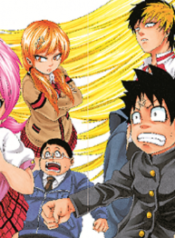 Image01-13-193×278-1