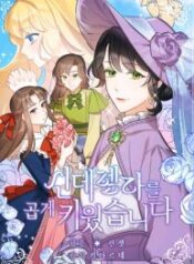 I Raised Cinderella Preciously – Image 1