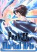 peak-of-martial-arts