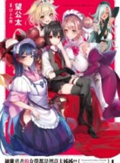 Genius Hero and Maid Sister – Image 1