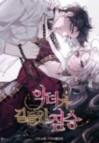 1691038724-64cb3404064b6-e7d90bca2a405f603f668decbe7de5fb4dbe69644736809570-983-193×278-1